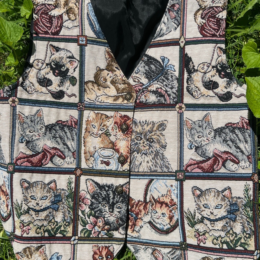 Cats playing vest